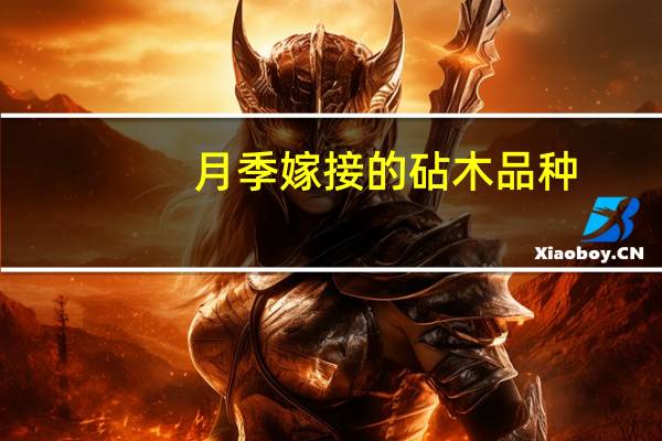 月季嫁接的砧木品种