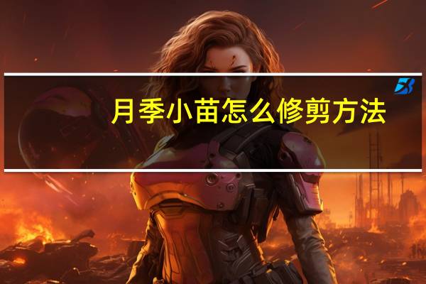 月季小苗怎么修剪方法