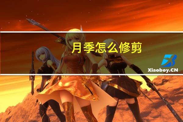 月季怎么修剪