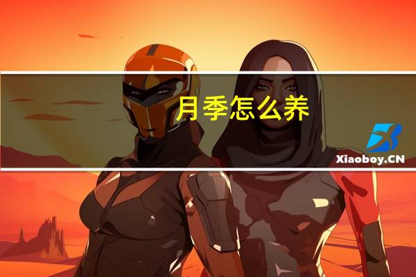 月季怎么养