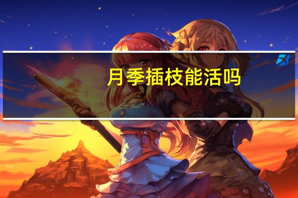 月季插枝能活吗