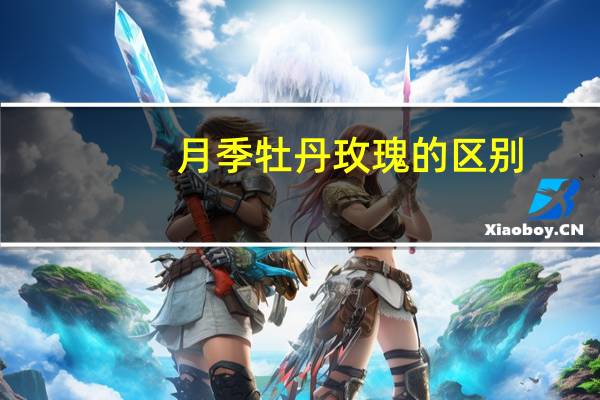 月季牡丹玫瑰的区别