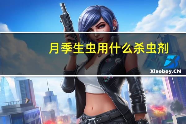 月季生虫用什么杀虫剂