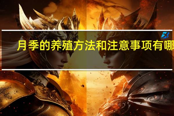 月季的养殖方法和注意事项有哪些