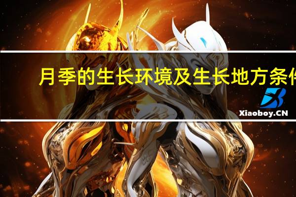 月季的生长环境及生长地方条件