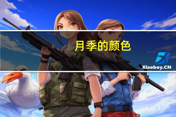 月季的颜色:数不胜数