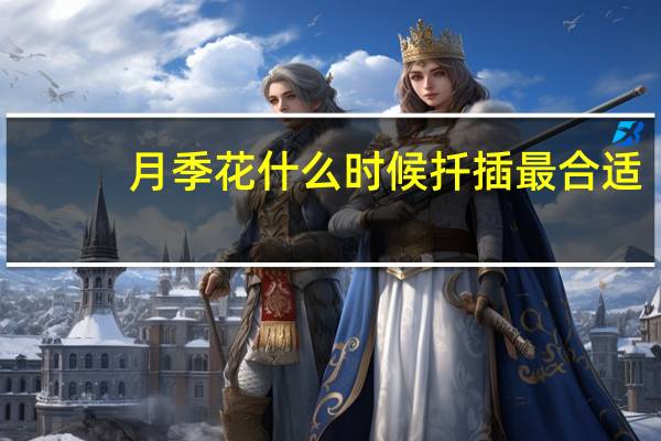 月季花什么时候扦插最合适