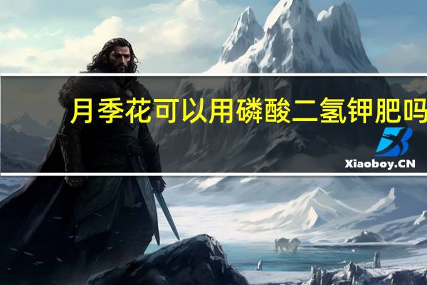 月季花可以用磷酸二氢钾肥吗