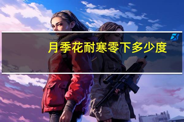 月季花耐寒零下多少度