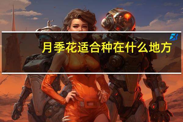 月季花适合种在什么地方