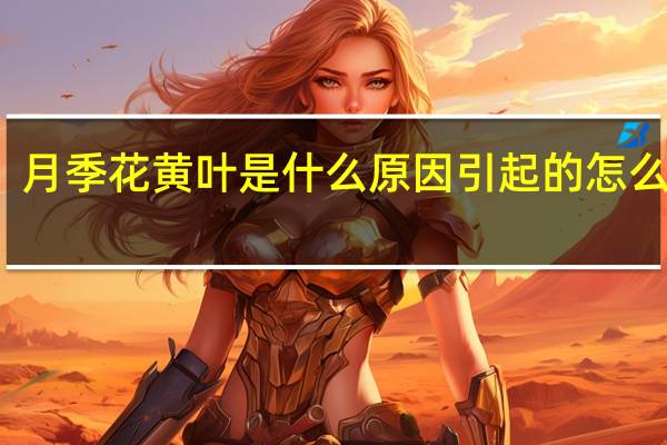 月季花黄叶是什么原因引起的怎么治疗