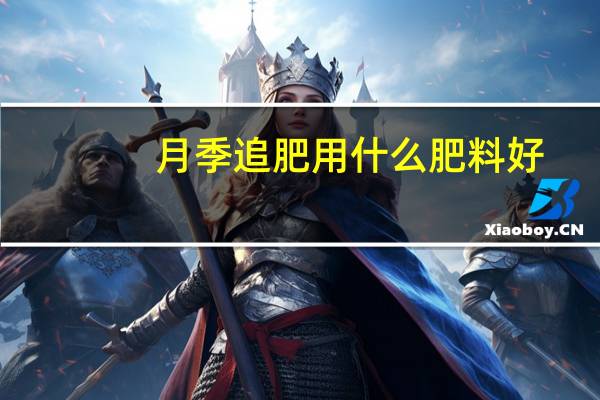 月季追肥用什么肥料好