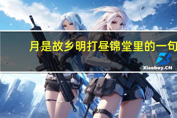 月是故乡明打昼锦堂里的一句