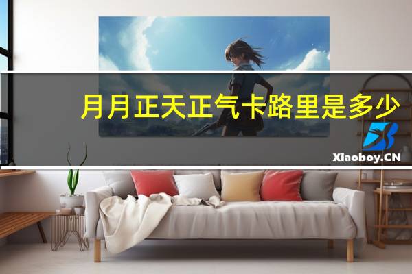月月 正天正气卡路里是多少