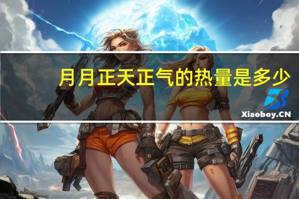 月月 正天正气的热量是多少