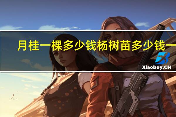月桂一棵多少钱 杨树苗多少钱一棵
