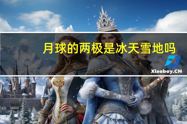 月球的两极是冰天雪地吗