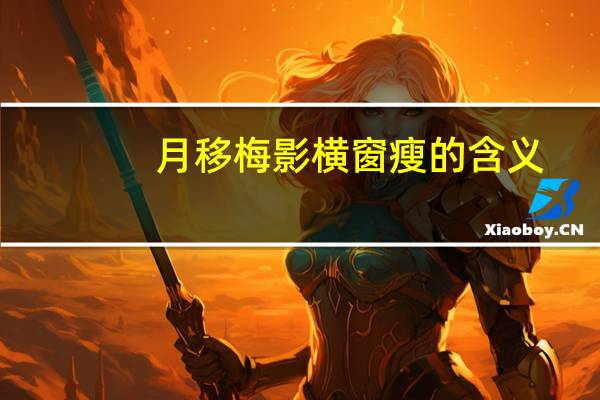 月移梅影横窗瘦的含义
