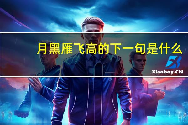 月黑雁飞高的下一句是什么