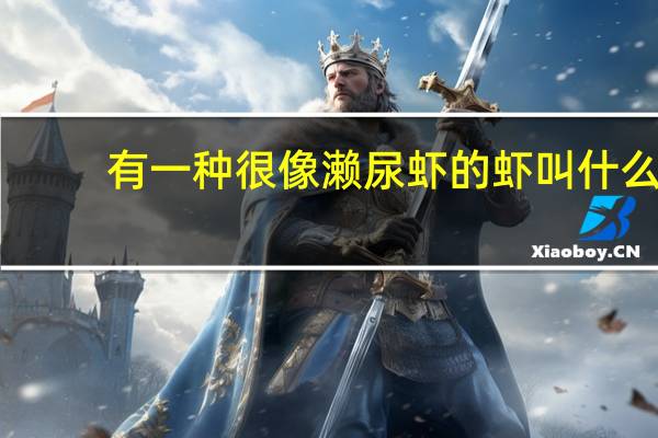 有一种很像濑尿虾的虾叫什么