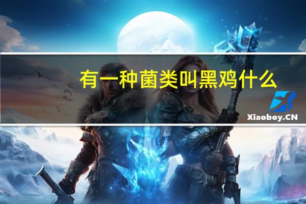 有一种菌类叫黑鸡什么