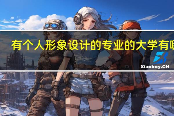 有个人形象设计的专业的大学有哪些