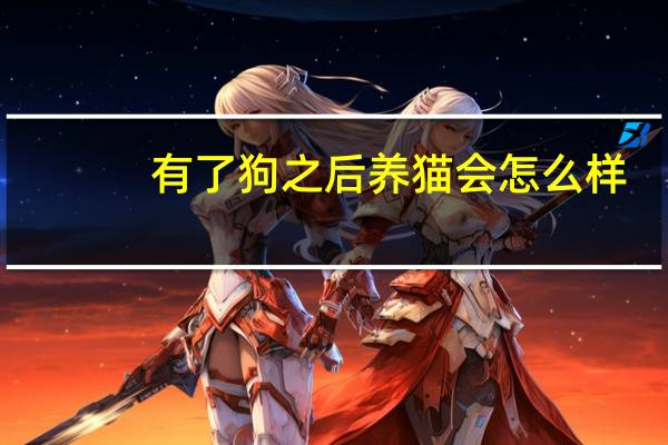 有了狗之后养猫会怎么样