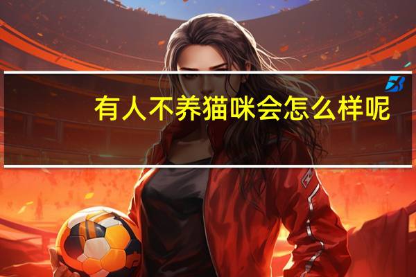 有人不养猫咪会怎么样呢