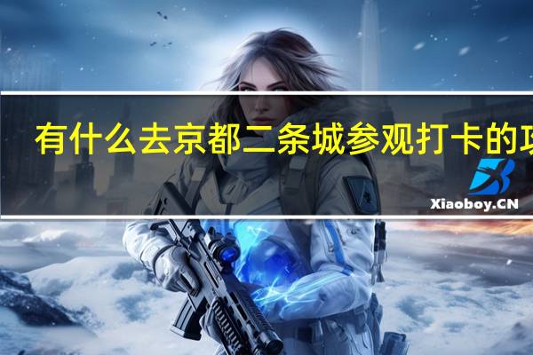 有什么去京都二条城参观打卡的攻略