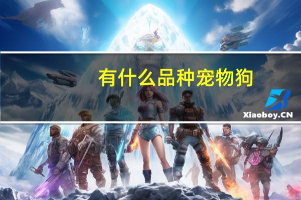 有什么品种宠物狗