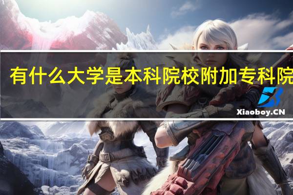 有什么大学是本科院校附加专科院校的