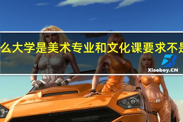 有什么大学是美术专业和文化课要求不是很高的吗