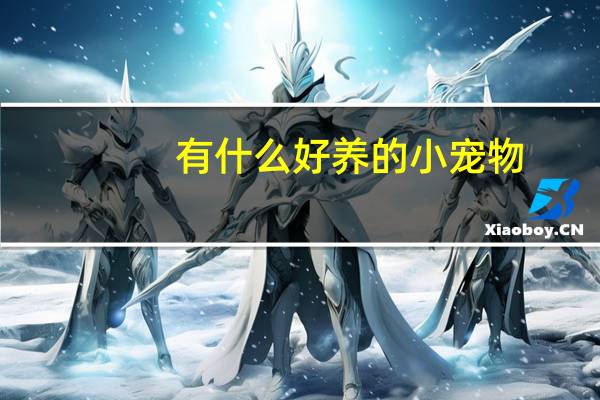 有什么好养的小宠物