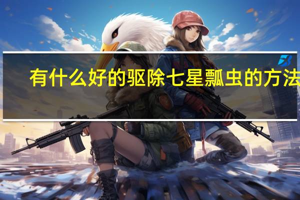 有什么好的驱除七星瓢虫的方法吗