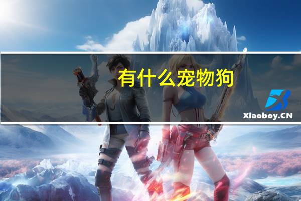 有什么宠物狗