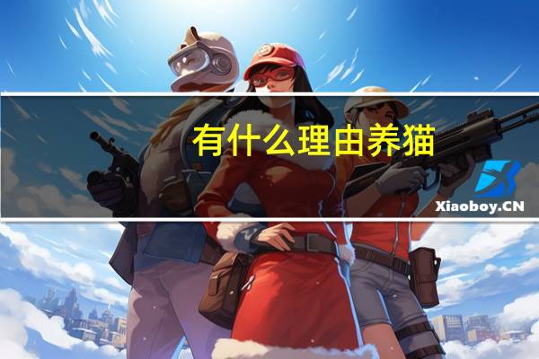 有什么理由养猫
