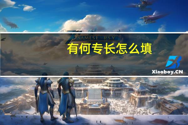 有何专长怎么填