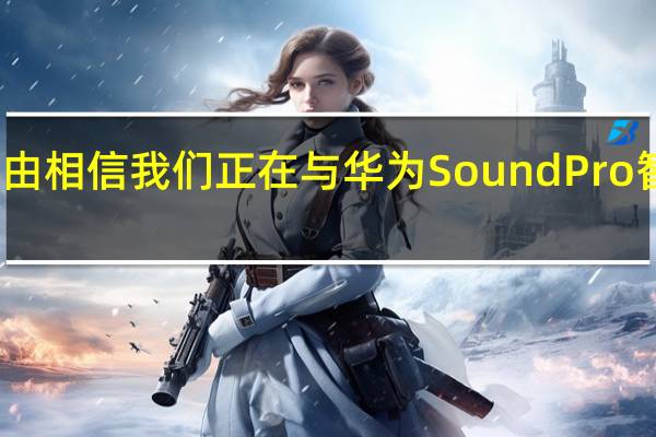 有充分的理由相信我们正在与华为SoundPro智能扬声器打交道