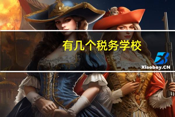 有几个税务学校
