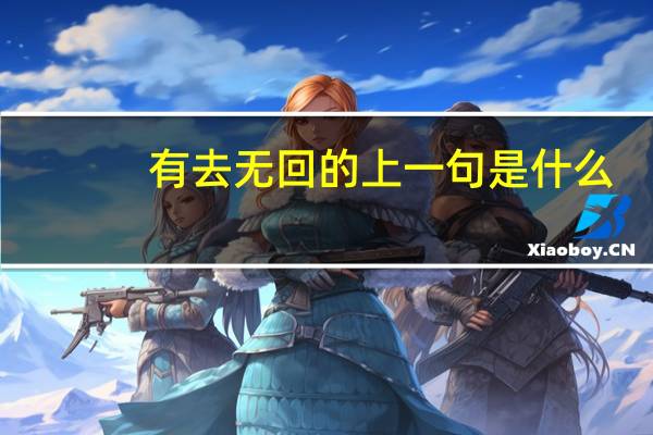 有去无回的上一句是什么