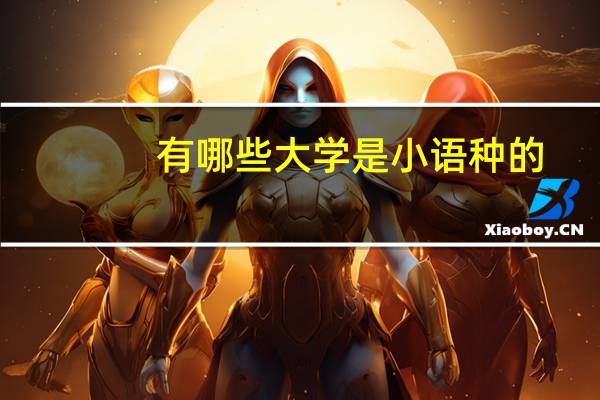 有哪些大学是小语种的