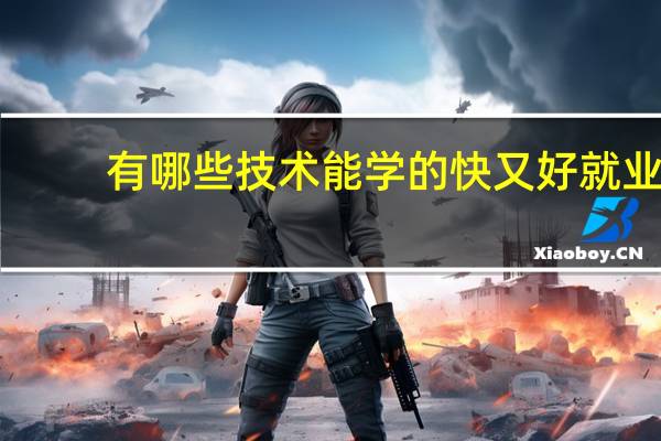 有哪些技术能学的快又好就业