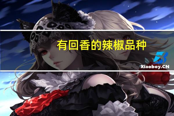 有回香的辣椒品种