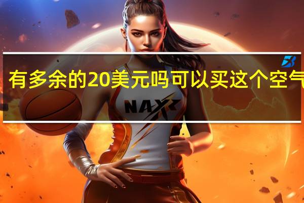 有多余的20美元吗可以买这个空气炸锅