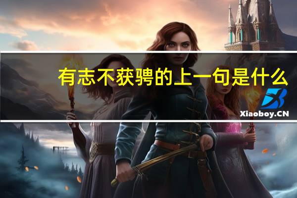 有志不获骋的上一句是什么
