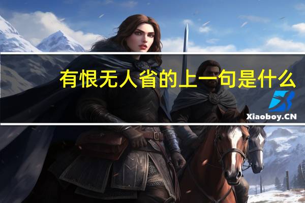 有恨无人省的上一句是什么