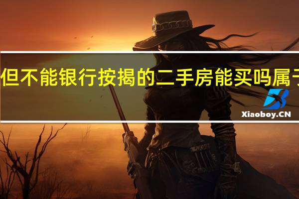 有房本但不能银行按揭的二手房能买吗 属于什么性质的