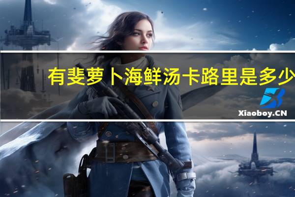 有斐 萝卜海鲜汤卡路里是多少