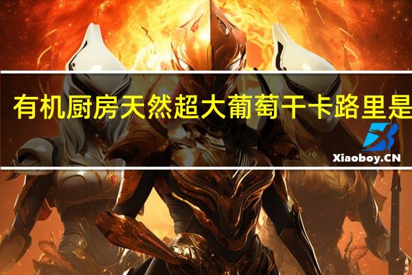 有机厨房 天然超大葡萄干卡路里是多少