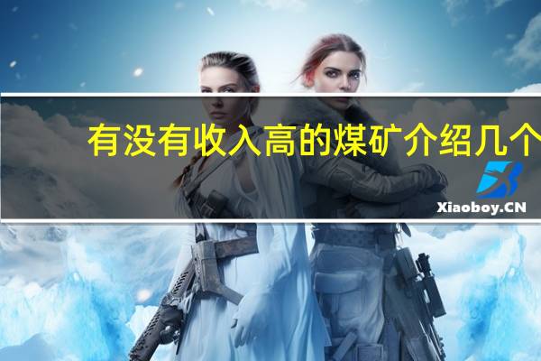 有没有收入高的煤矿介绍几个